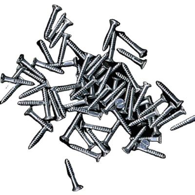 China Pan Wholesale Stainless Steel Screws For License Plates for sale