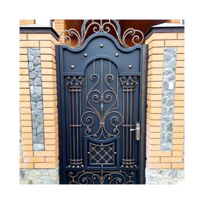 China New Fashion Fancy Iron Door Design Easily Assembled Small Forged Door With Steel Sheet for sale