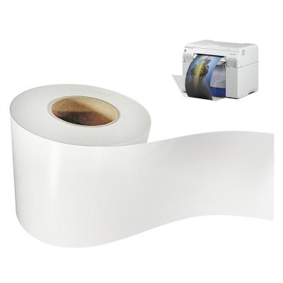 China 0.305*100m Dry Minilab Photo Paper RC Silky Mini Roll Noritsu Fuji Dry Printer for sale