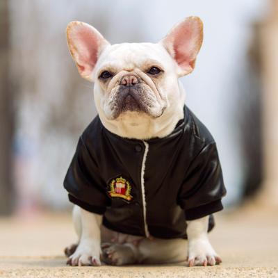 China Stocked the most popular winter warm dog clothes chase popular leather jackets for sale