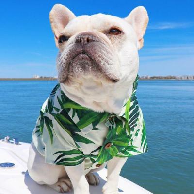 China Sustainable Casual Hawaiian Ins Hot Dog Clothes Dog Shirt Buttons Pet Summer Clothes for sale