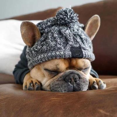 China 2021 viable knitted windproof and warm simple warm autumn and winter dog hat for sale