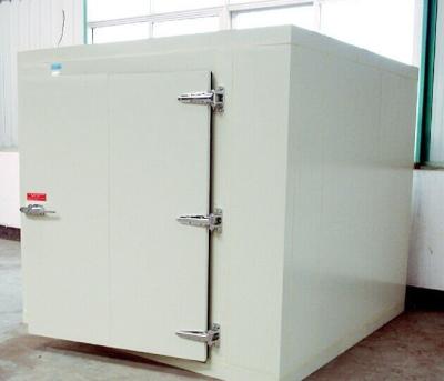 China Meat Fishing Cooler Cold Room Freezer Ice Making Machine Under Table Freezer for sale