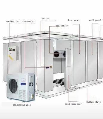 China Commercial Walk-in Freezer Industrial Freezer Room Meat Quick Freezing Room for sale