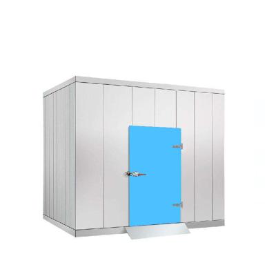 China Industrial Motorized Insulated PU Sandwich Panel Sliding Supermarket Cold Room Door for Cold Stores or RefContainer en venta