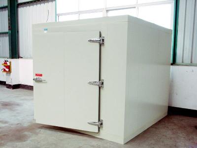 China -20℃ Stainless Steel Cold Storage Room Frozen Food With Swing Door for sale