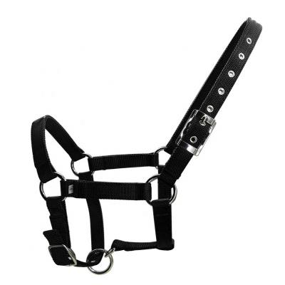 China Adjustable Hot Selling Horse Equestrian Nylon Adjustable Halter for Horse Riding for sale