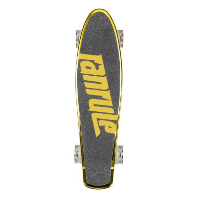 China Youth Patented Wholesale Custom Cruiser Skateboard Fishboard Pro Skateboard OEM Factory 22 Inch Skateboard for sale