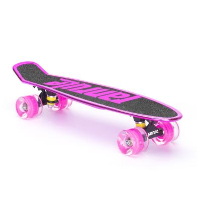 China Professional Child Patented China Factory OEM Design Kids Fish Skateboard Cruiser Skateboard for sale