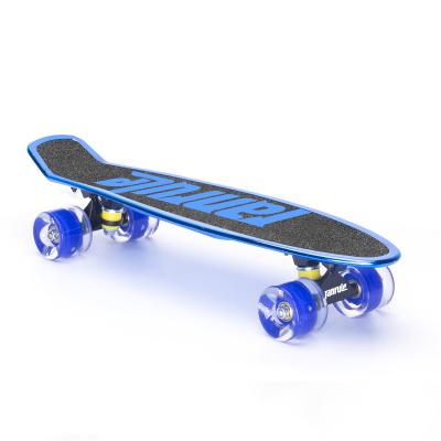 China Best China Factory Price Youth Patented Cheap 22 Inch Fish Skateboard Penny Cruiser Skateboard for sale