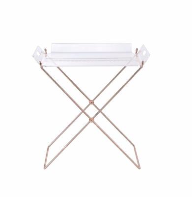 China Durable Contemporary Transparent Acrylic Food Server Tray Table With Plant Outlet Insert for sale