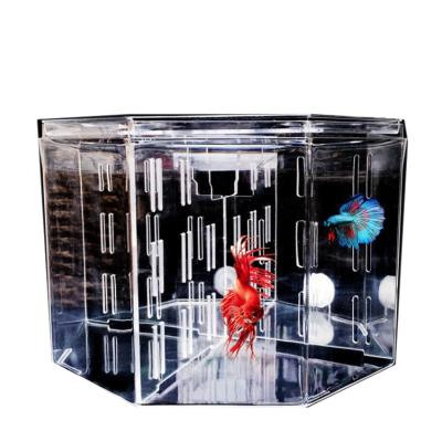 China Large Size 4 Rooms Aquarium Four Slots Betta Fish Tank With Basket Isolation Hatch Breed Box Viable Plant 4 Acrylic Bow for sale