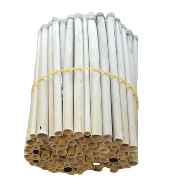 China Beekeeping industry hot sale factory thatch bee tube bee pipe for sale