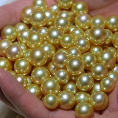 China 10-11mm Pearl 10-11mm Grade 3A Genuine South Sea Genuine Natural South Sea Pearls Real Saltwater Wholesale Gold Color Gold Supply for sale