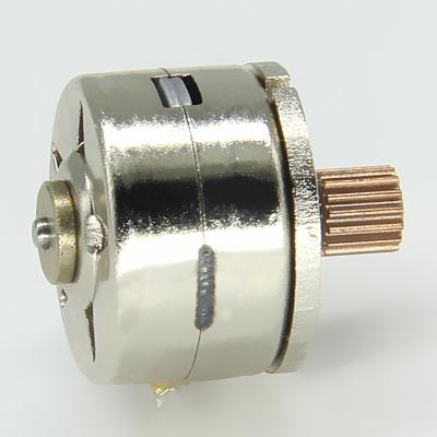 China 15BY25-389 Dia 15BY25-389 Micro 15mm Mini PM Stepping Motor 15BY25 for sale