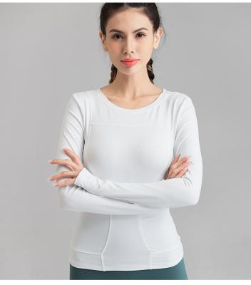 China Newest Breathable DOMAX Sharks Colors Yoga XL Size Seamless Gym Set Long Sleeve Running Cropped Shirt Top Leggings For Women for sale