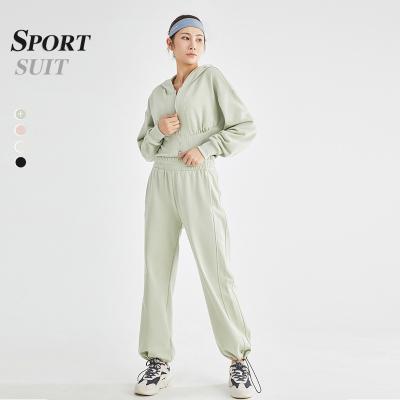 China DOMAX Breathable Wholesale Drop Jogging Sweat Suits Set Zipper Women Sweatsuit Joggers Tracksuit For Women for sale