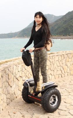 China 2 Wheel Gliding Off Road Self Balancing Scooter/Segway Chariot Brushed DC Motor For Outdoor Use for sale