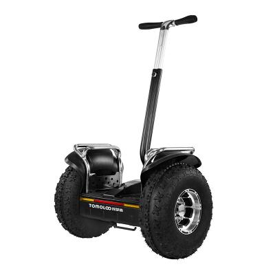 China 19 inch Electric Scooter Off-road Self Balancing Scooter/Segway For Adults With Brush DC Motor for sale