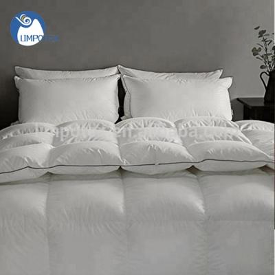 China Home Eco - Friendly Luxury Goose Down Hotel Comforter Inner Comforter Insert For Hotel Bedding for sale