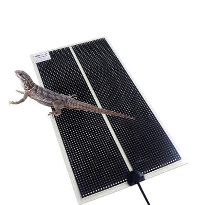 China Viable Reptile Pet Heated Infrared Protection for sale