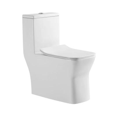 China Double-flush Sanitary Ware Ceramic Washdown One Piece Toilet For Western Toilet for sale