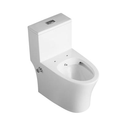 China China Double-Flow European Standard High End Ceramic Toilet Bidet Spray for sale