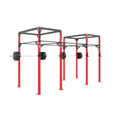 China Commercial Customized Cross Fitness Facilities Monkey Gym Wall Mounted Power Rack for sale