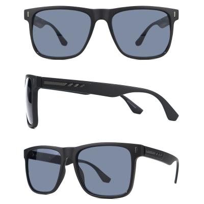 China Fashion Sunglasses Cheap Polarized Sunglasses Fashion Sunglasses With Manufacturer Price for sale