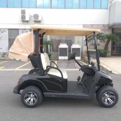 Κίνα Wholesale custom new lithium battery 2 seater amusement park reception car electric golf cart club cars with CE προς πώληση