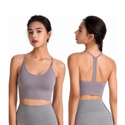 China 1924 Antibacterial Women Sports Bra Stretch Stylish Working Plus Size Yoga Fitness Gym Underwear Women Sports Bra for sale