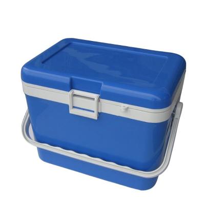 China Food Grade Resin 17L Fruit Fresh Insulated Cool Box For Vaccines Corrosion Resistance for sale