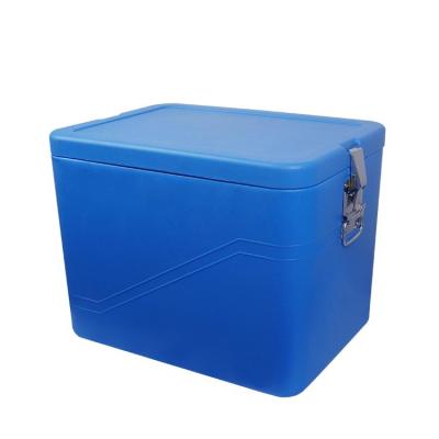 China Fashion Large Plastic Picnic Ice Box Cooler /  HIPS HDPE PU Foam Car Cool Box for sale