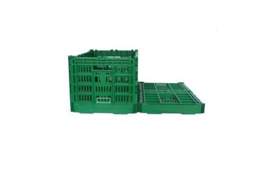 China Custom Large Green Collapsible Plastic Crate For Vegetable Fruit Virgin PP Material for sale