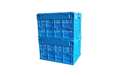 China Impact - Resistance Collapsible Fruit And Vegetable Plastic Crates With Lids for sale