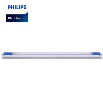 China LED Plant Lamp T5 24W Tube Application Spectrum Required To Ornamental And Green Plants for sale