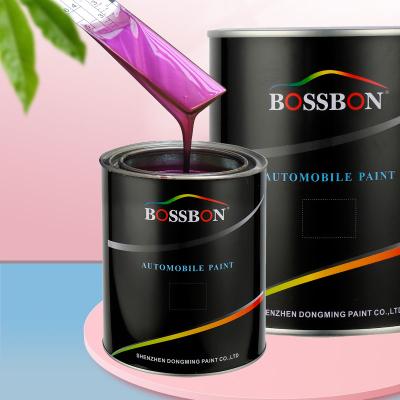 China 4 Colors Chameleon Pearlescent Paint Pigment Base Coat Tint For Spray Gun for sale