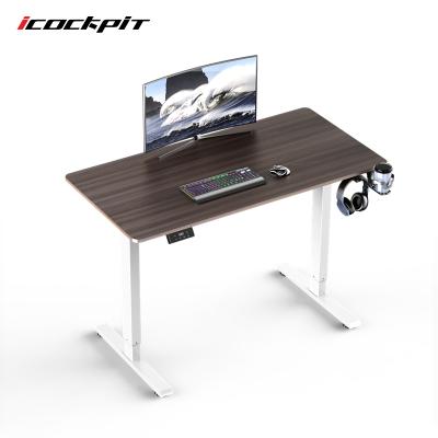 China (Size) Modern and Simple Electric Standing Computer Table Adjustable Customizable Ergonomic Electric Desk for sale