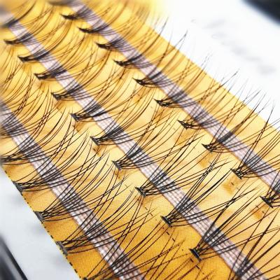 China Soft Fan 0.1mm10 Eyelash Extension C Curled Soft Natural Single 10d Group for sale