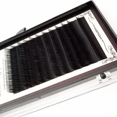 China Soft Single Premade Lash Professional Volume Eyelash Extension Lash Fans Eyelash Curl for sale