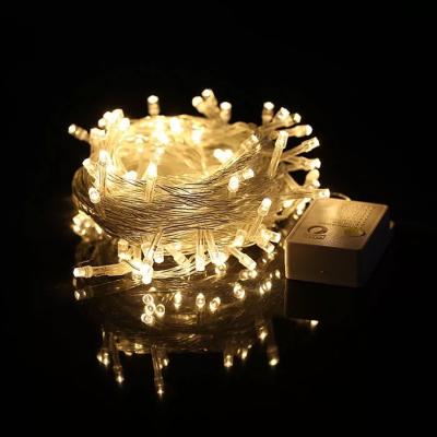 China 2021 Newly Modern Warm White LED Holiday Light Indoor Outdoor Waterproof Decorative Strips With Small Bulbs for sale