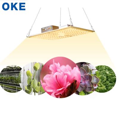 China Seed Starting Factory Direct Sales Customized Spectrum Adjustable Brightness LED Aluminum Plant To Grow Light For Flower Seeds for sale