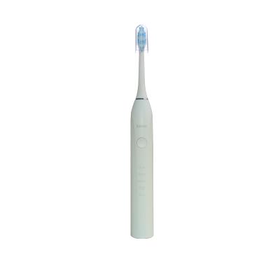 China Household Sonic Electric Toothbrush USB Lithium Battery Electric Toothbrush Charging High Quality Adult Ipx7 for sale