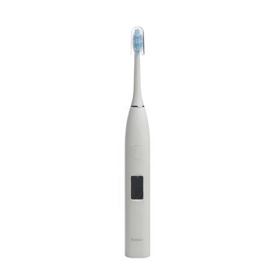 China China Factory Sale Acoustic Electric Toothbrush Super Quality Portable Motor Electric Toothbrush for sale