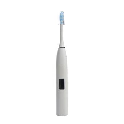 China Wholesale Oral Beauty China Factory Electric Toothbrush Rechargeable Fine Quality Electric Toothbrush for sale