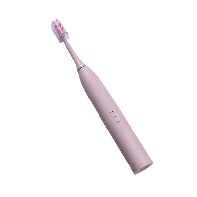 China Beauty Factory Sale Electric Toothbrush SF-V5 Pink Color Electric Toothbrush Whitening Toothbrush for sale