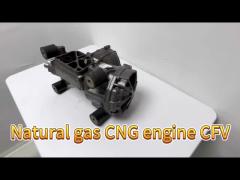 CNG engine