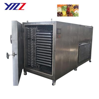 China food & Beverage Factory Fruit Mushroom Beef Vacuum Freeze Drying Machine Chrysanthemum Pineapple Freeze Dryer for sale