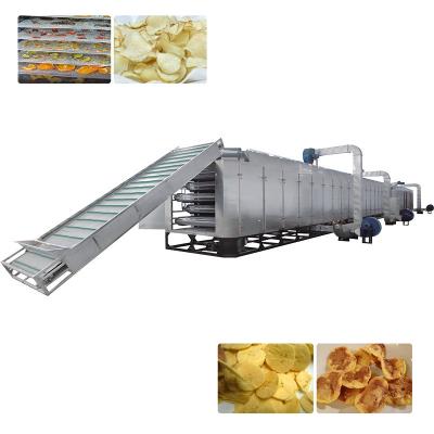 China Food Processing Food Belt Drying Equipment Dryer For Fruit And Vegetable Drying Equipment for sale