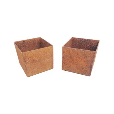 China Modern lifestyle flower pots firm and durable plants for sale